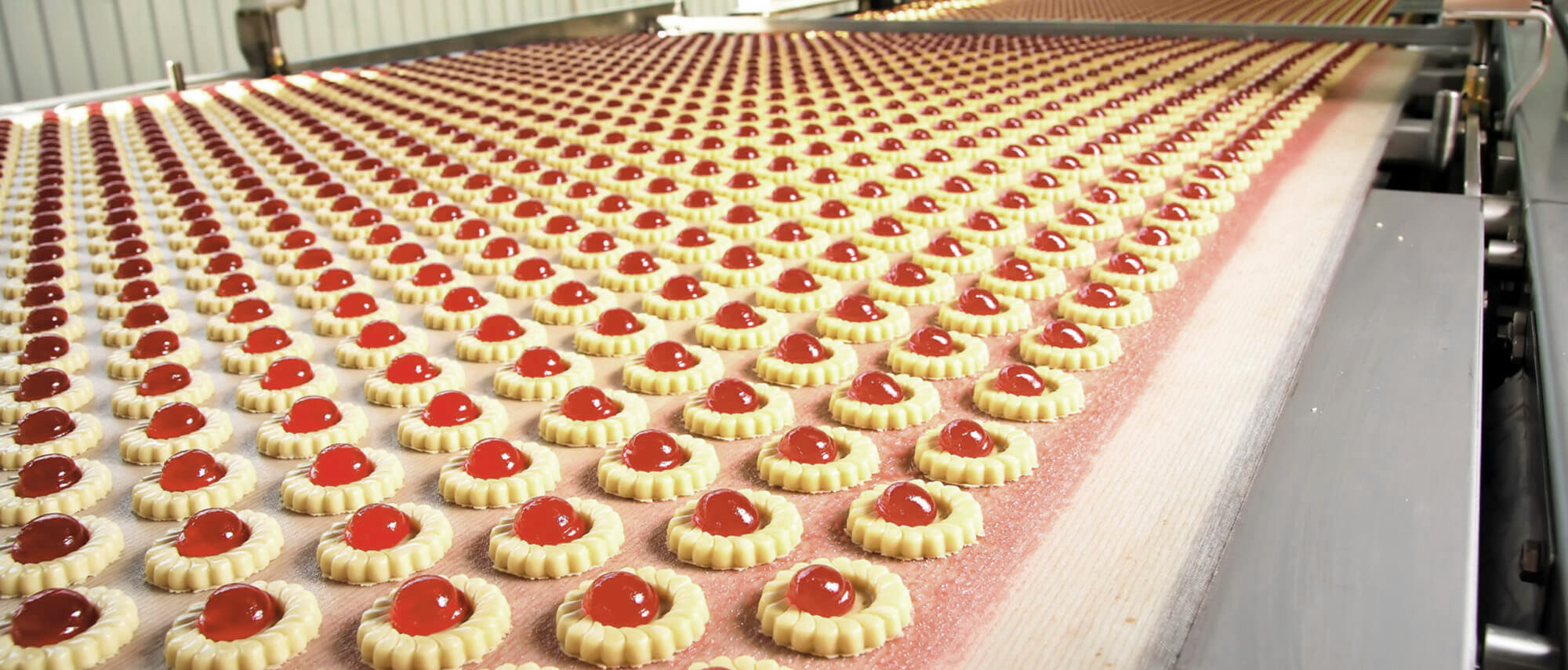 ICI Foods enterprise facility and premier food ingredient distribution network
