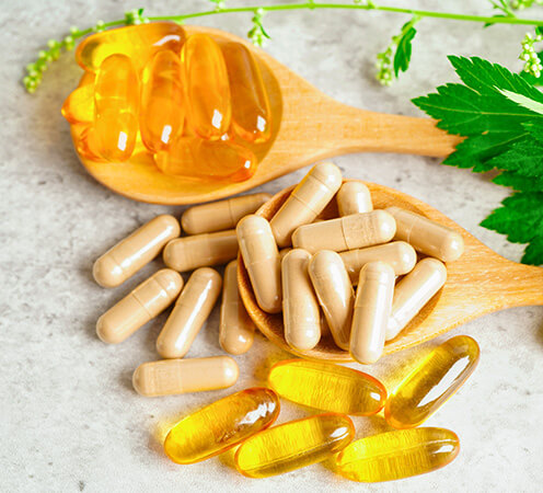 Nutraceutical raw materials: carriers, excipients, dietary fibers
