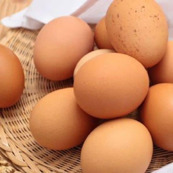 Commercial Dried and Frozen Egg Products