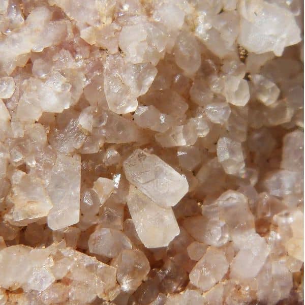 Hydrocolloids and Gums Supplier